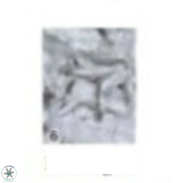 Palaeorhomboaster svabenickae 14835