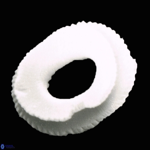 Reticulofenestra celticus 1156 18