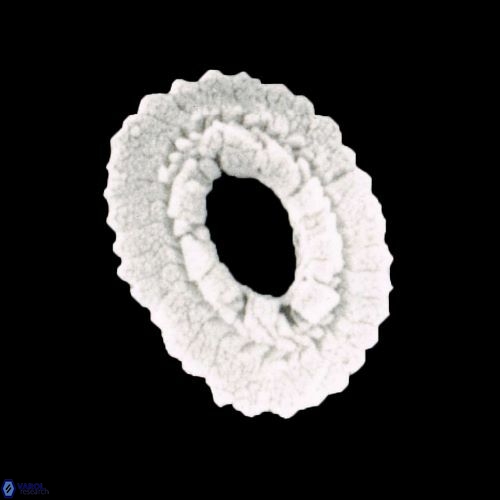 Reticulofenestra simillimus 1466 26