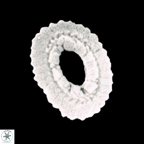 Reticulofenestra simillimus 1466 26