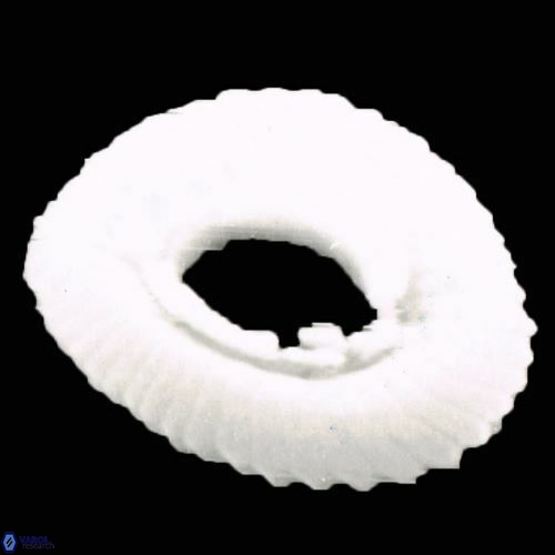 Reticulofenestra simillimus 947 1