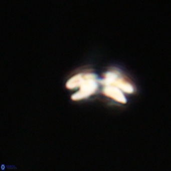 Reticulofenestra sp 1 VR 33504