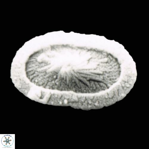 Rhabdosphaera base 860 27