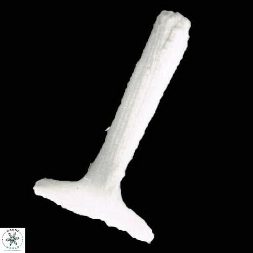 Rhabdosphaera clavigera 1015 11