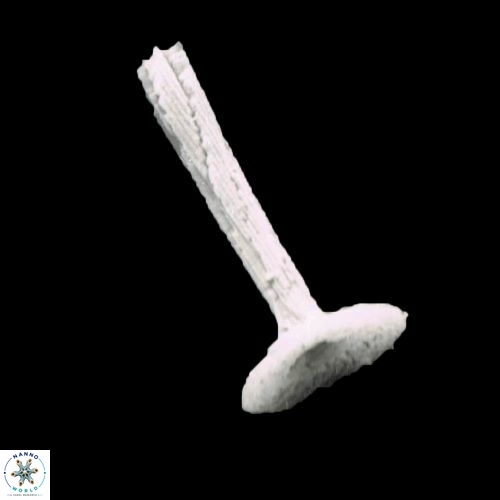 Rhabdosphaera clavigera 1075 15