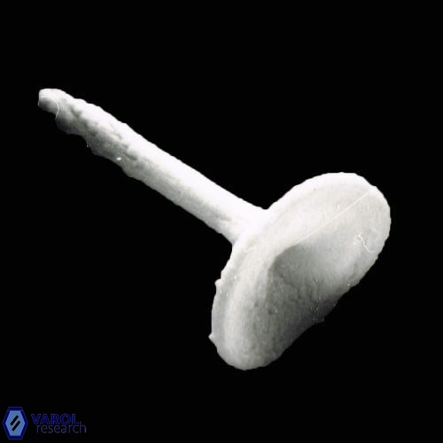 Rhabdosphaera stylifera 912 15