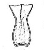Scyphosphaera amphora VR 10904