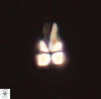 Sphenolithus didymikoryfi 54206