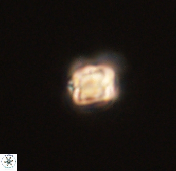 Sphenolithus didymikoryfi 54214