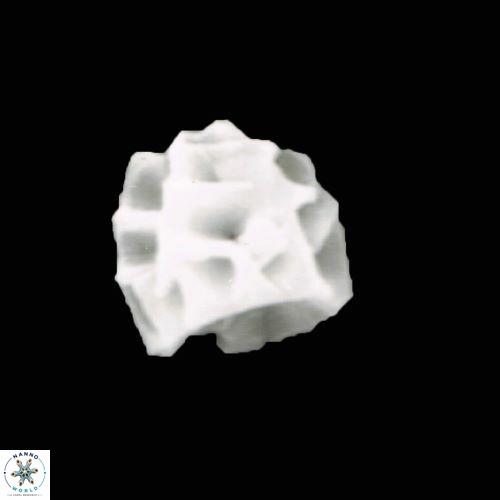 Sphenolithus moriformis S3a 21