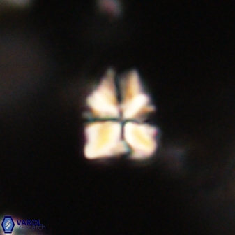 Sphenolithus paleodissimilis 63254