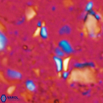 Sphenolithus tintinnabulum 28199