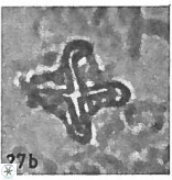 Nannotetrina quadrata VR 025628