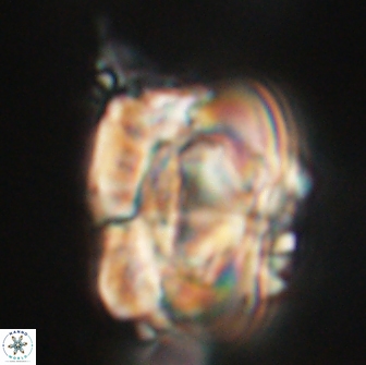 UFO A 66045