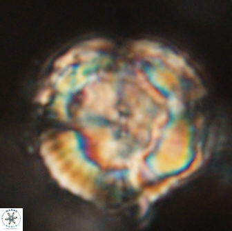 UFO A 66035
