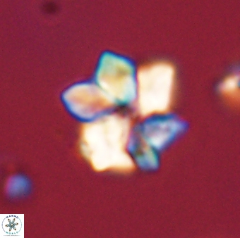UFO 1 57306