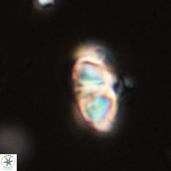 UFO 1 57318