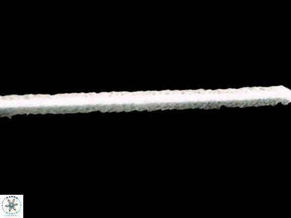 V longus