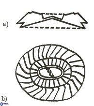 Ellipsagelosphaera communis 3823