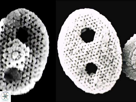 Life-cycle Header Image