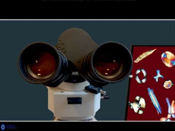 Optical Properties Header Image